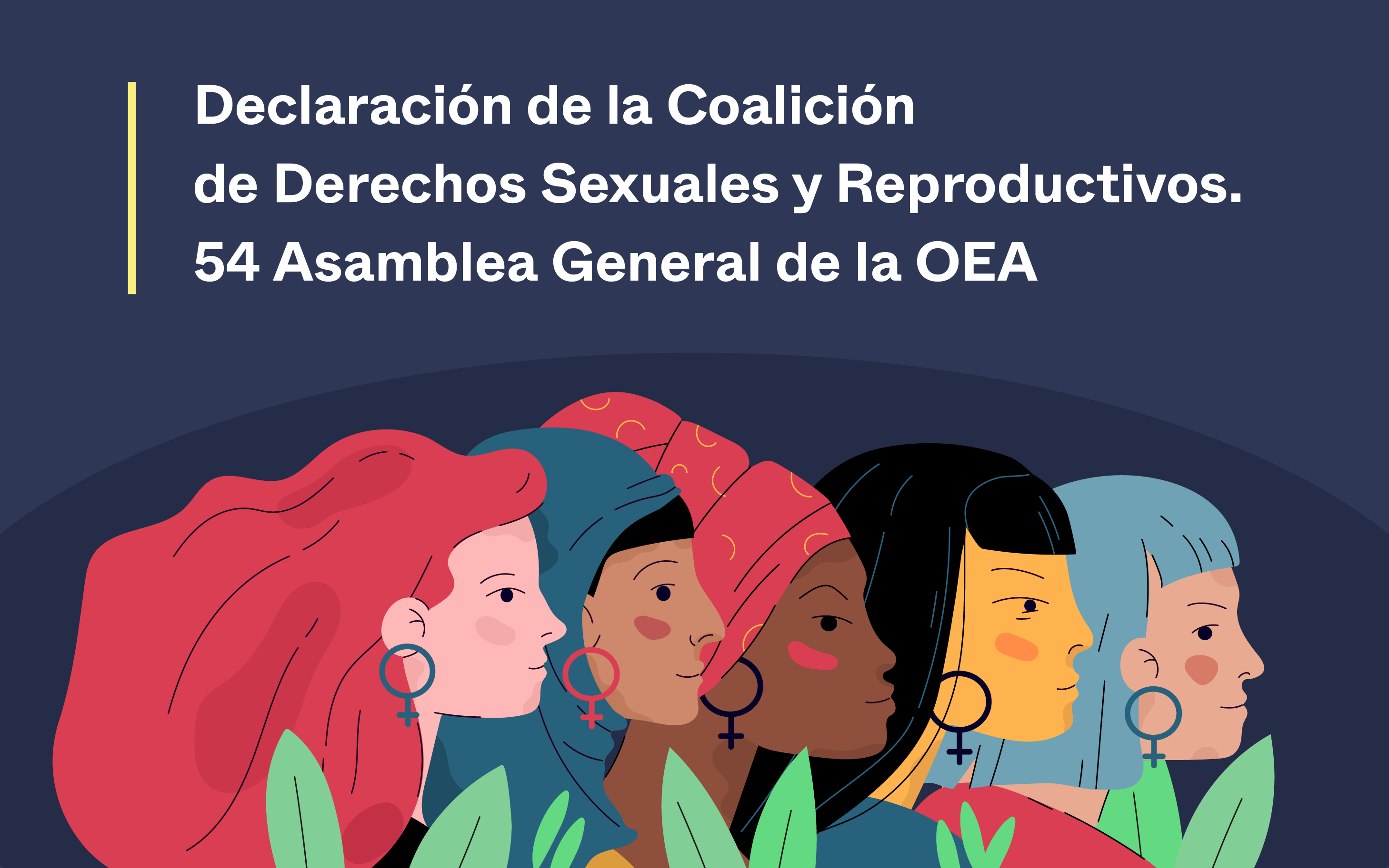 Declaración de la Coalición de Derechos Sexuales y Reproductivos. 54 Asamblea General de la OEA